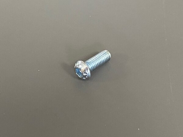 Photo of a Oval Head Screw spare part