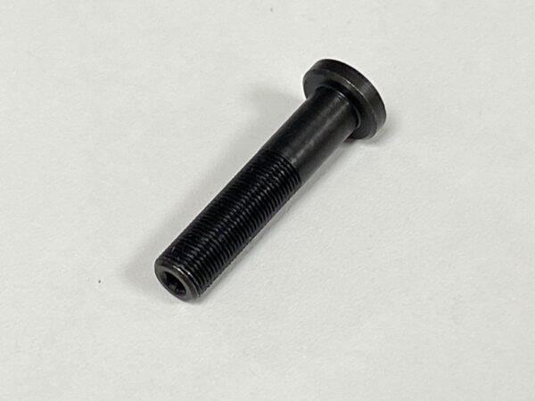 Photo of a Set Screw for RAPIDO spare part