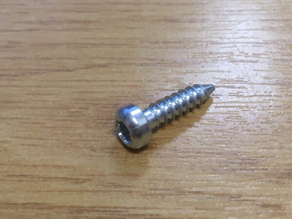 Photo of a Ejot Delta PT Screw spare part