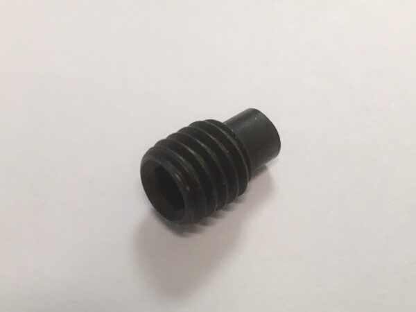 Photo of a Grub screw spare part